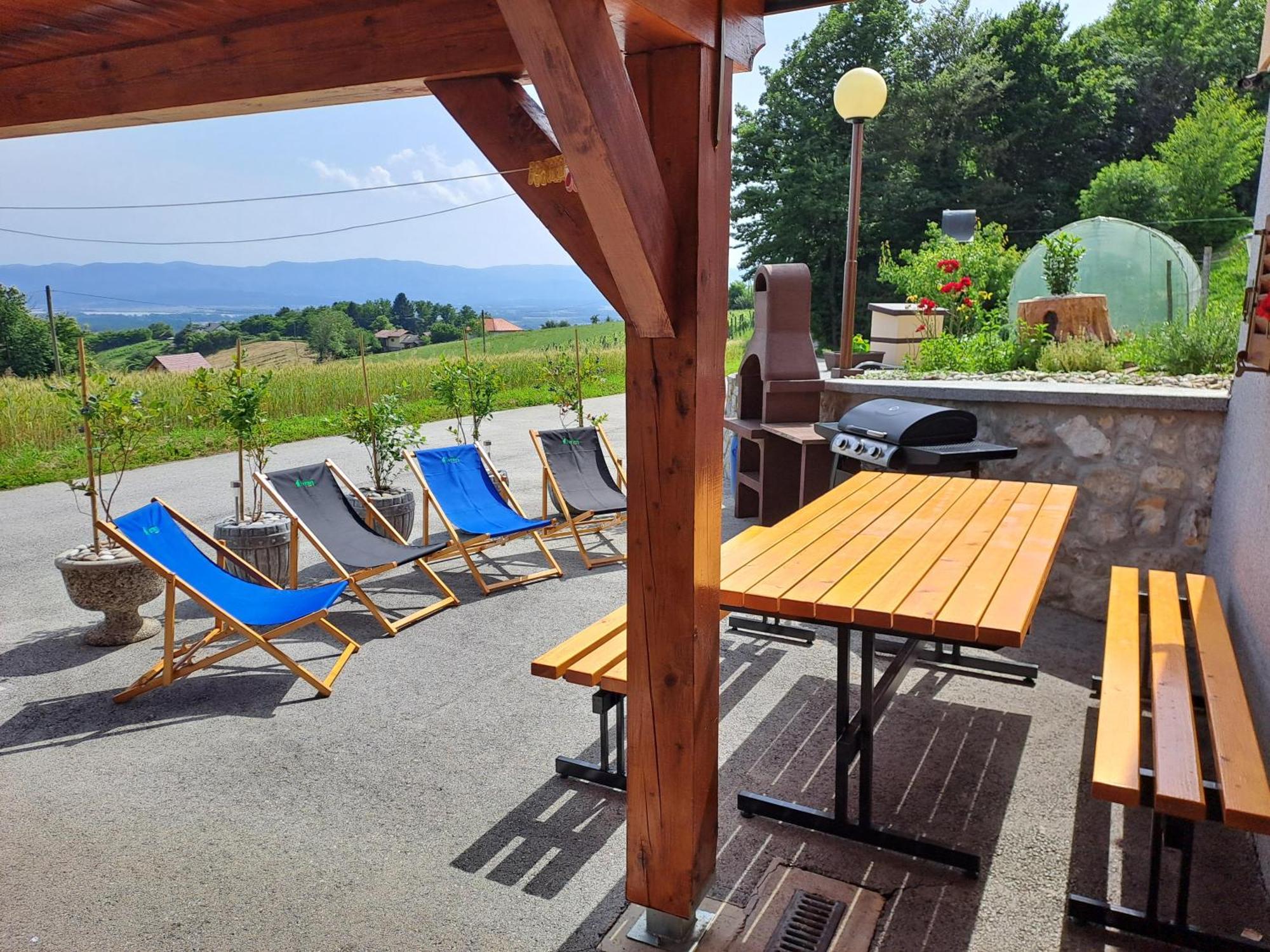 Apartments Jernej With Onsite Wellness Brežice Exteriér fotografie